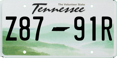 TN license plate Z8791R