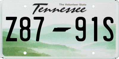 TN license plate Z8791S