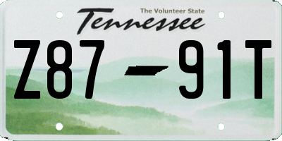 TN license plate Z8791T