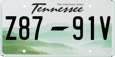 TN license plate Z8791V