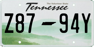 TN license plate Z8794Y