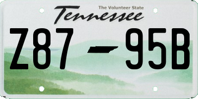 TN license plate Z8795B