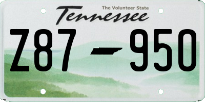 TN license plate Z8795O