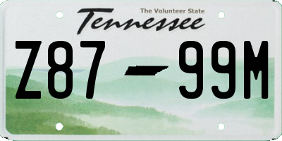 TN license plate Z8799M