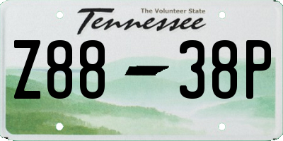 TN license plate Z8838P