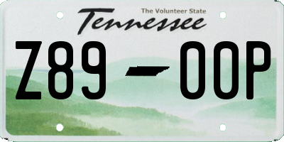 TN license plate Z8900P