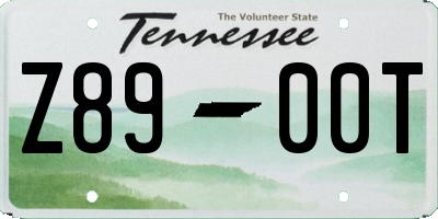 TN license plate Z8900T