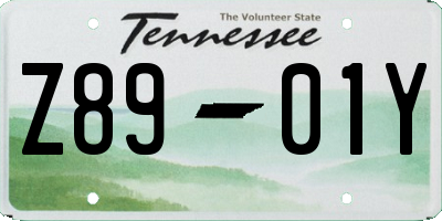 TN license plate Z8901Y
