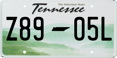 TN license plate Z8905L
