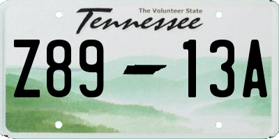 TN license plate Z8913A