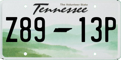 TN license plate Z8913P