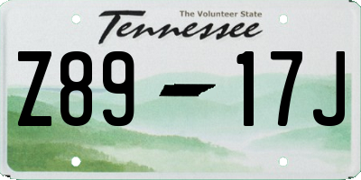 TN license plate Z8917J