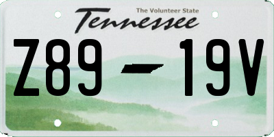 TN license plate Z8919V