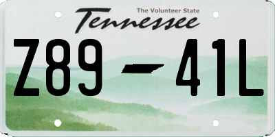 TN license plate Z8941L