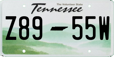 TN license plate Z8955W