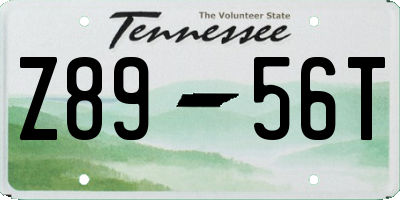 TN license plate Z8956T