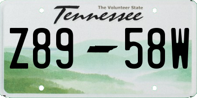 TN license plate Z8958W