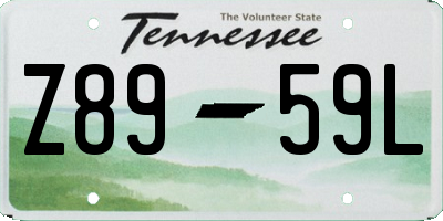 TN license plate Z8959L