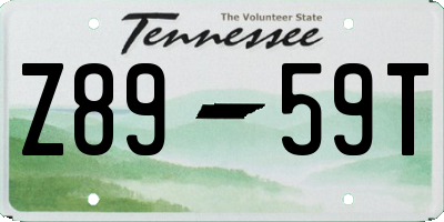 TN license plate Z8959T