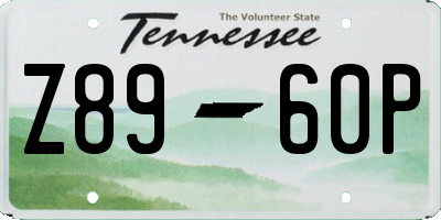 TN license plate Z8960P