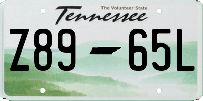 TN license plate Z8965L