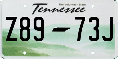 TN license plate Z8973J