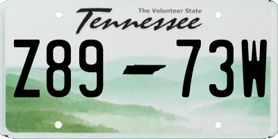 TN license plate Z8973W