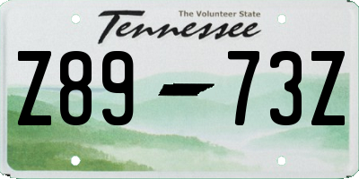 TN license plate Z8973Z