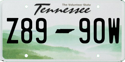 TN license plate Z8990W