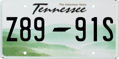 TN license plate Z8991S