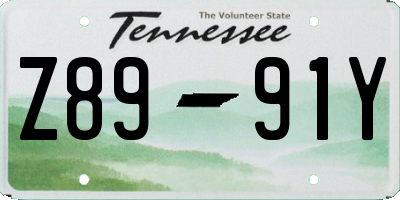 TN license plate Z8991Y