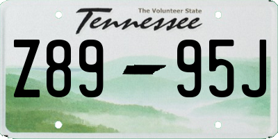 TN license plate Z8995J