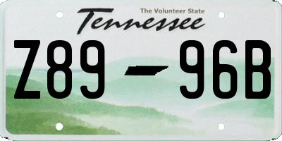 TN license plate Z8996B