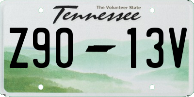 TN license plate Z9013V
