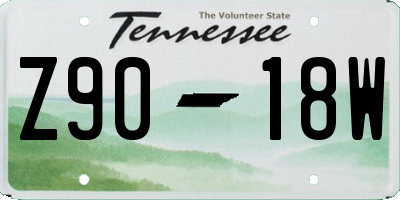 TN license plate Z9018W