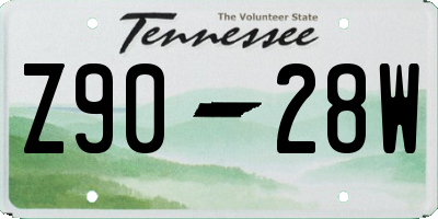 TN license plate Z9028W