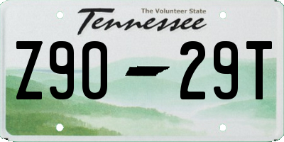 TN license plate Z9029T
