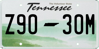 TN license plate Z9030M