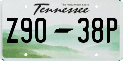 TN license plate Z9038P