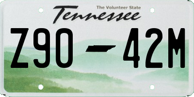 TN license plate Z9042M