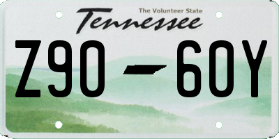 TN license plate Z9060Y