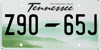 TN license plate Z9065J