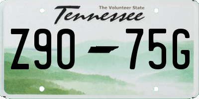 TN license plate Z9075G