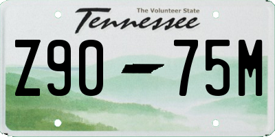 TN license plate Z9075M