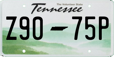 TN license plate Z9075P