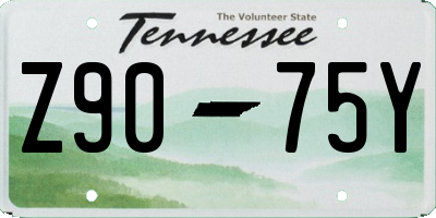 TN license plate Z9075Y
