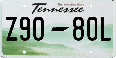 TN license plate Z9080L