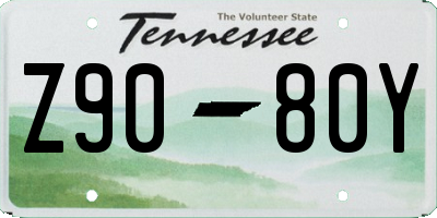 TN license plate Z9080Y