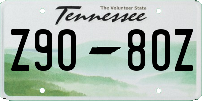 TN license plate Z9080Z