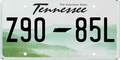 TN license plate Z9085L